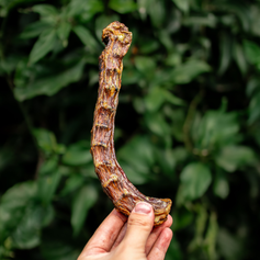 Pescoço de Pato Desidratado | 6 unidades