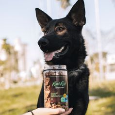 Pulmão Suíno Desidratado | 70g