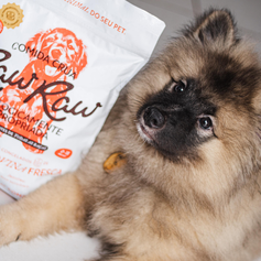 Hamburguinho Bovino | 1kg Filhotes