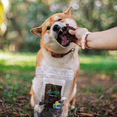 Mix Suíno Desidratado | Traqueia, Garganta e Língua