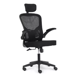 Cadeira Ergonômica fl