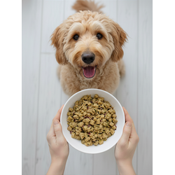 Lombo com Abacaxi e Hortelã - Adulto (1 porção)