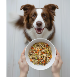 Frango a Jardineira - Adulto (1 porção)