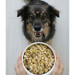 Carne Essencial - Cães Adulto