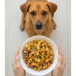 Derma Care - Lombo & Fibras - Cães Adultos