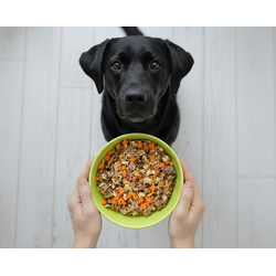 Macarronada - Adulto (1 porção)