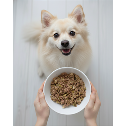 Escondidinho de Carne - Adulto (1 porção)