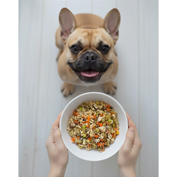 Fácil Digestão - Adulto (1 porção)