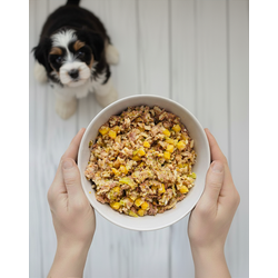 Frango - Filhotes (1 porção)