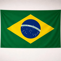 Bandeira Brasil País 90x60 Futebol Copa Jogo Torcedor Fiel