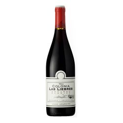 Vinho Altos Las Hormigas Colina Las Liebres Bonarda 750ml