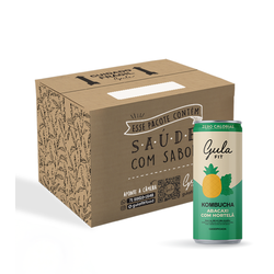 CAIXA KOMBUCHA DE ABACAXI E HORTELÃ – 269ML (12 un)