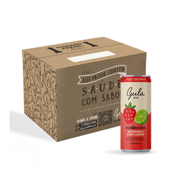 CAIXA KOMBUCHA MORANGO E LIMÃO – 269ML (12 un)