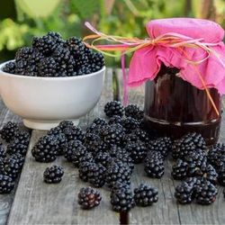 DOSE - Amora - 100 Gramas