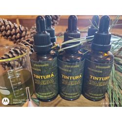 TRÊS TINTURAS DE TAEDA