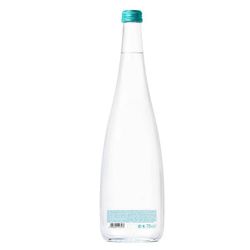 Água Evian Sparkling Com Gás Vidro 750ml