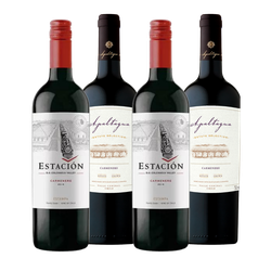 Kit Carmenere 4 garrafas