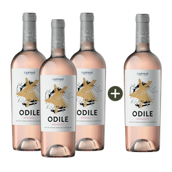 Kit Pague 3 leve 4 Odile Rosado
