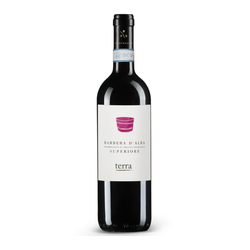 Vinho Tinto Terra Barbera D'alba 2019 750ml