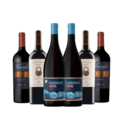 Kit Malbec Premium 6 Garrafas