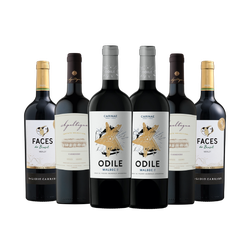 Kit Novo Mundo 6 Garrafas