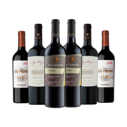 Kit Cabernet Sauvignon 6 Garrafas