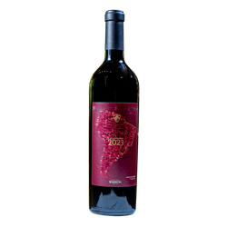 Vinho Fluminense 4 de novembro de 2023 Campeão da América Gran Malbec 750ml