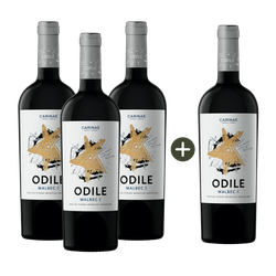 Kit Pague 3 leve 4 Odile Malbec