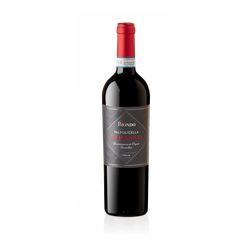 RIONDO VALPOLICELLA RIPASSO DOC 2021 - RIONDO
