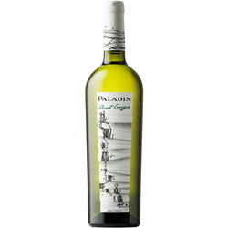 PINOT GRIGIO 2024 - CASA PALADIN