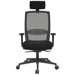 Cadeira de Escritório Presidente Ergonômica Linea TY 200