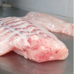 Filé de Robalo (500g)