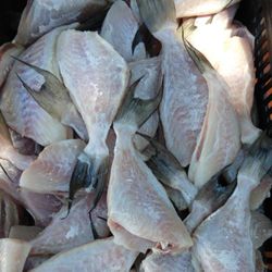Peixe Porco Limpo (500g)