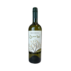 Vinho Uruguai Braccobosca Ombu Sauvignon Blanc