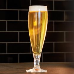 ZN Lager | Growler 1L