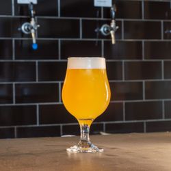 Cajá | Sem Álcool | Growler com 1L 