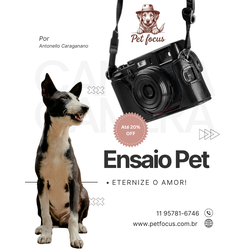 Ensaio Fotográfico Pet