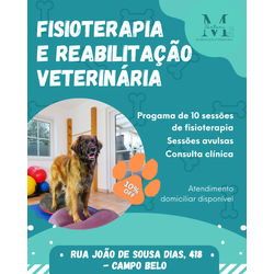 Fisioterapia e Reabilitação