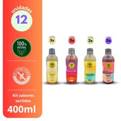 Kit Viver de Kombucha Sabores Sortidos 12 unidades