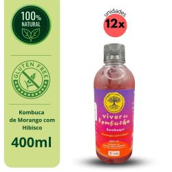 Kit Viver de Kombucha degustação 4 unidades