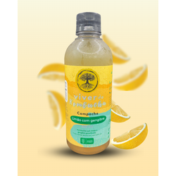 Kombucha Limão com Gengibre Campeche 400 ml