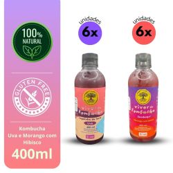 Kit Mix com 12 Viver de Kombucha Uva e Morango 400ml