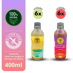 Kit Viver de Kombucha Sabor Limão e Morango