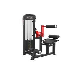 ABDOMINAL ZAION STRENGTH