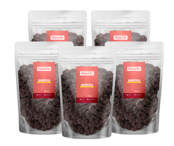 Kit Ameixa Seca (5 un) - Empório Pouch 250g