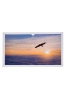 Card Postal - Livro Be Brave