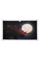 Card Postal -  Livro A lua e a princesa