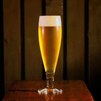 Pils Ano 7 | Growler com 1L