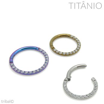 Anel Segmentado Articulado com Zircônias Frontais Titânio 1mm