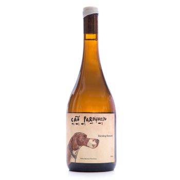 Cão Perdigueiro Vinho Branco Riesling Renano 2024